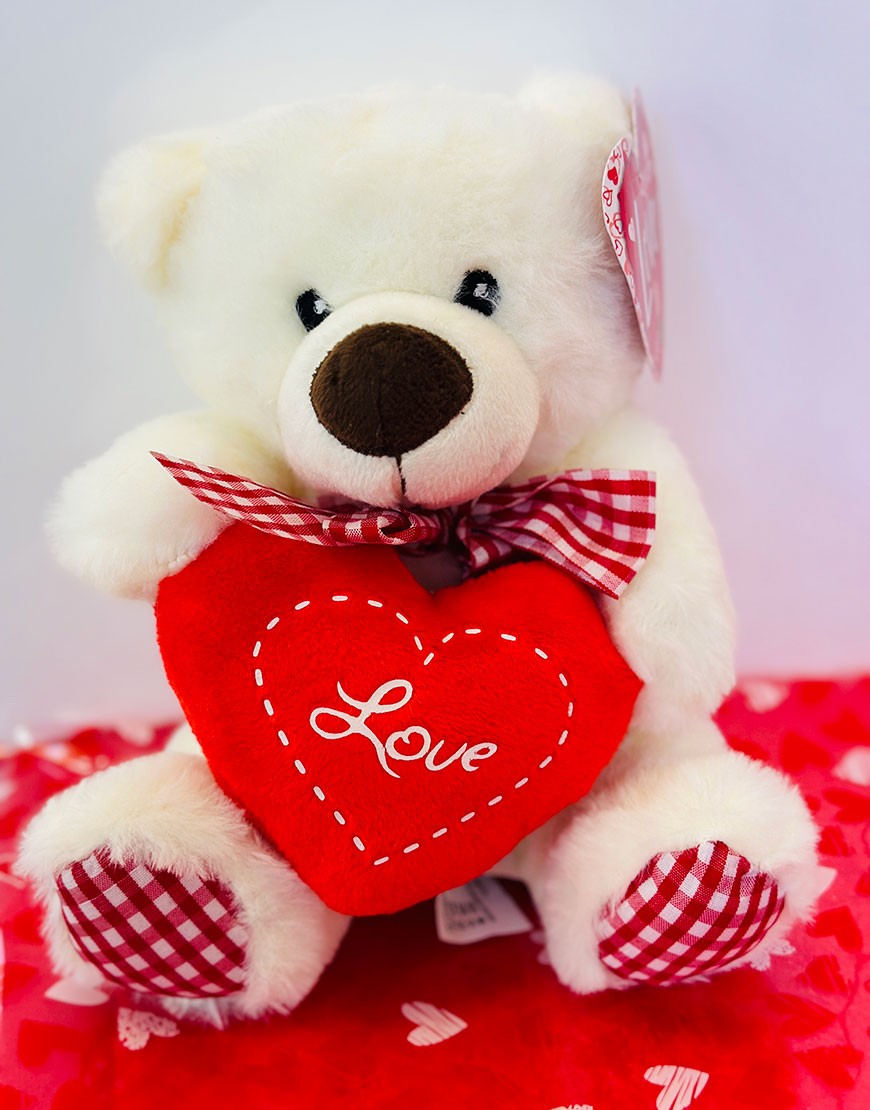 PELUCHE OSO CUADROS