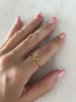ANILLO 10