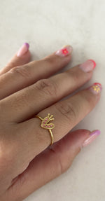 ANILLO 10