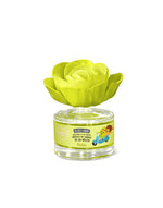 AMBIENTADOR FLOR MELON FRUIT