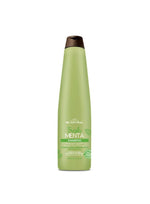 CHAMPU MENTA ANTI GRASA