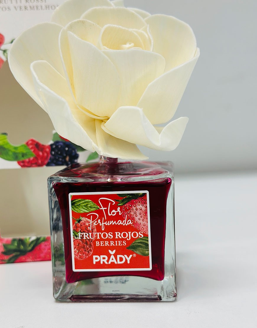 AMBIENTADOR new FLOR FRUTOS ROJOS