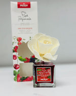 AMBIENTADOR new FLOR FRUTOS ROJOS