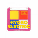 W. PALETA HYDRO ELECTRIC