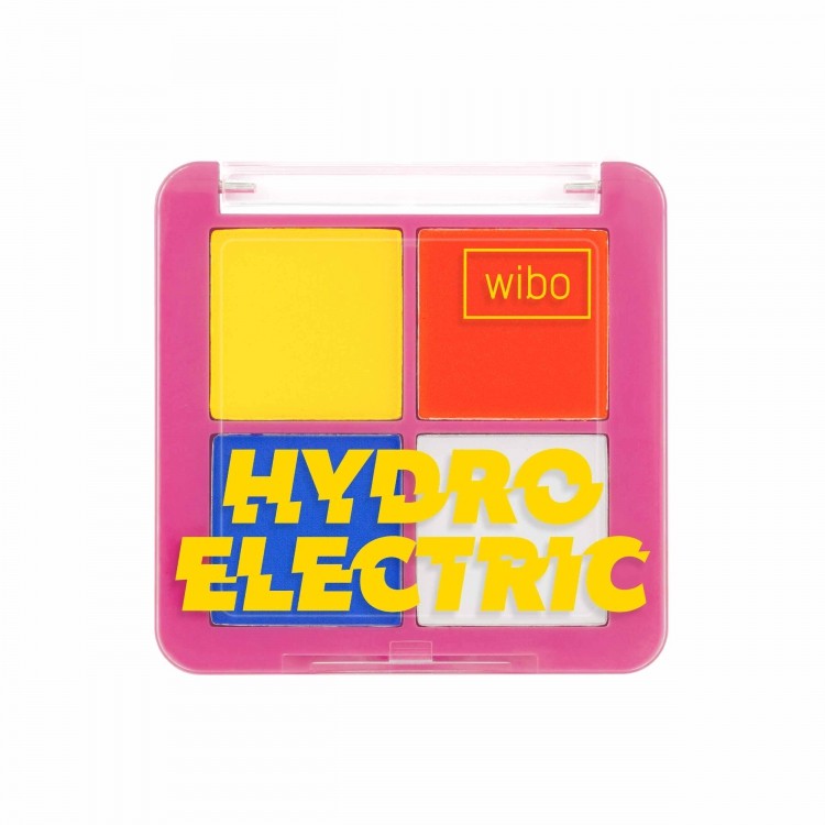 W. PALETA HYDRO ELECTRIC