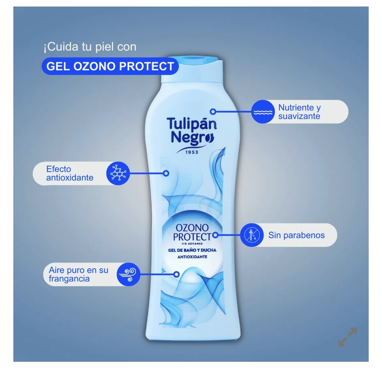 GEL OZONO