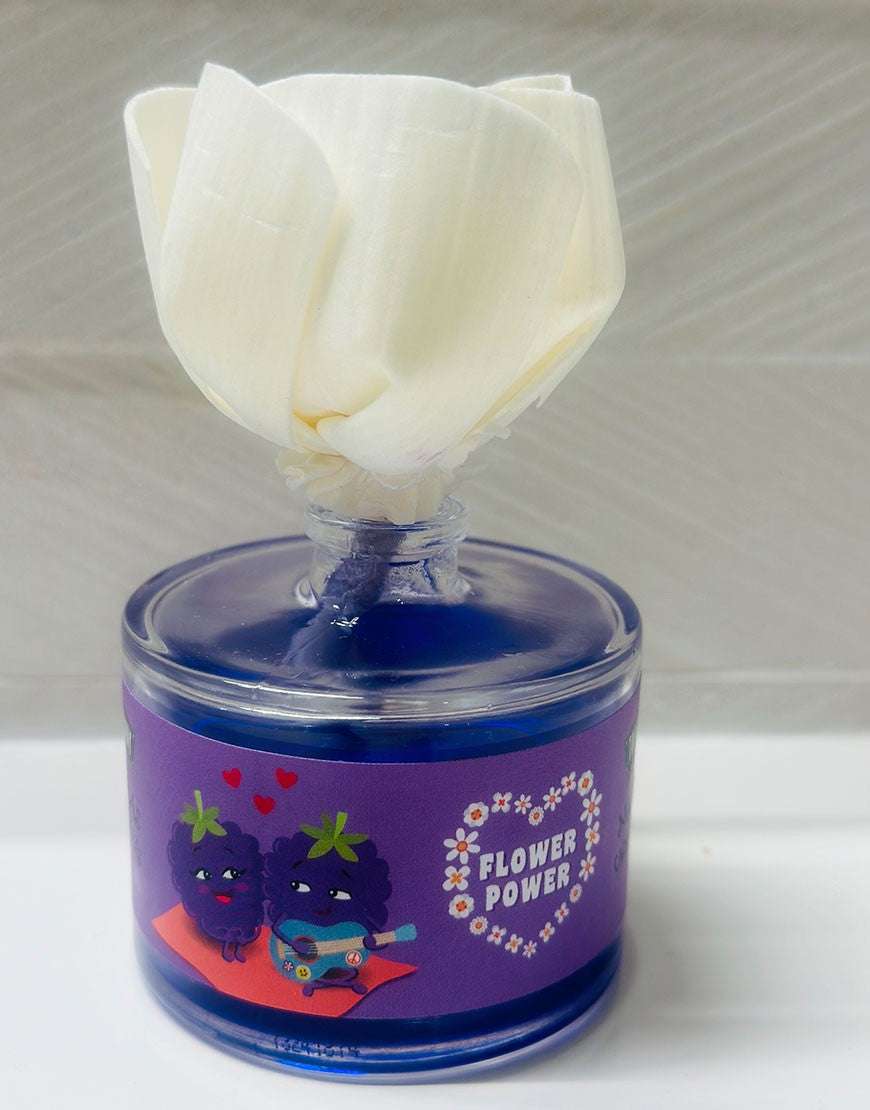 AMBIENTADOR FLOR MORA FRUIT