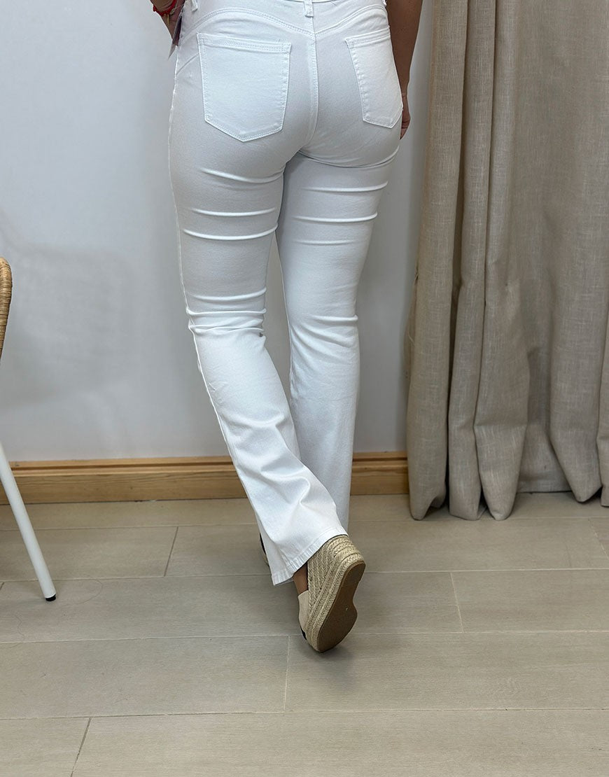 VAQUERO CAMPANA SHOW