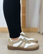 ZAPATILLA CLASSIC 36/41