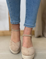 ESPARTINA CORDOBA 36/41
