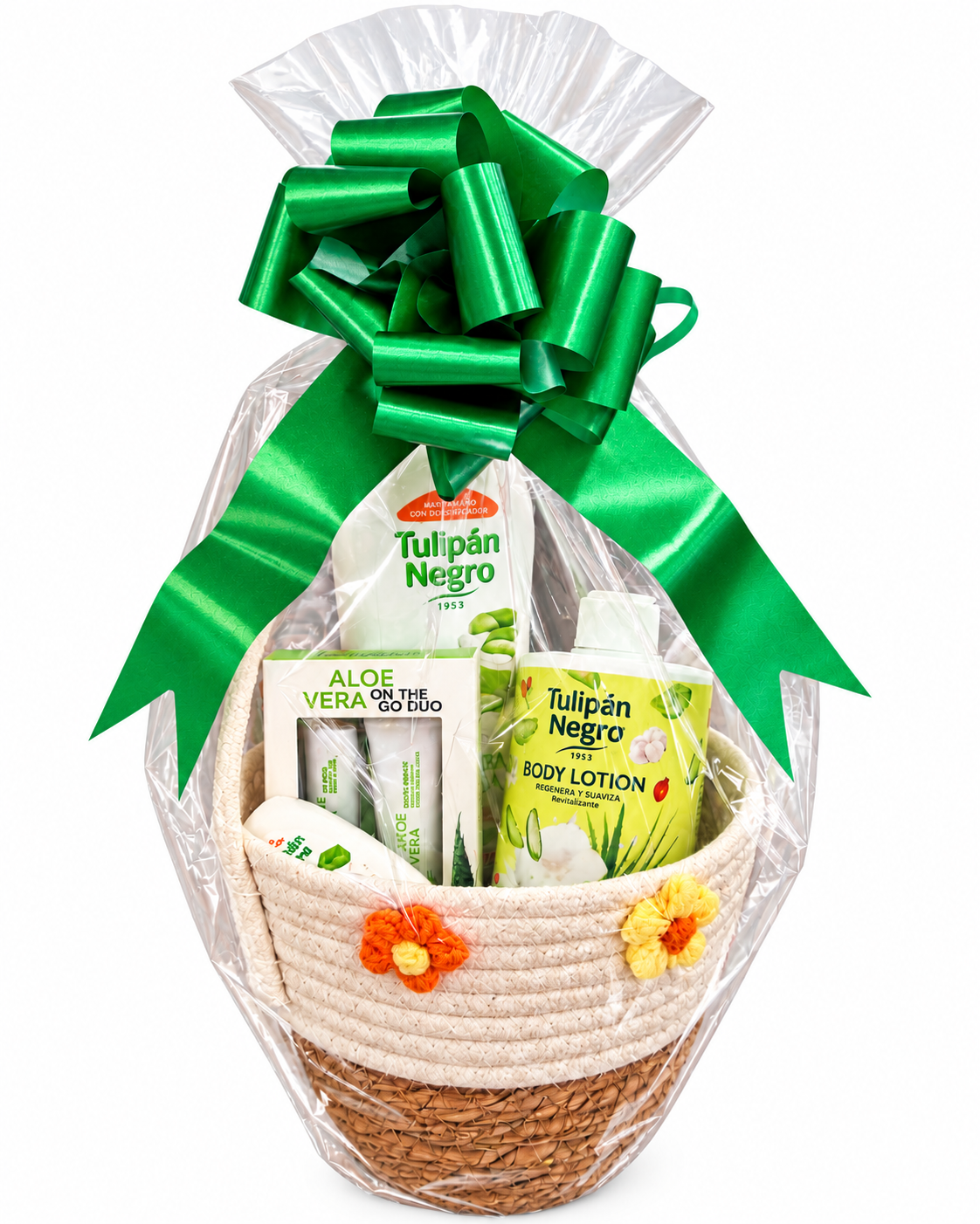 4. CESTA ALOE