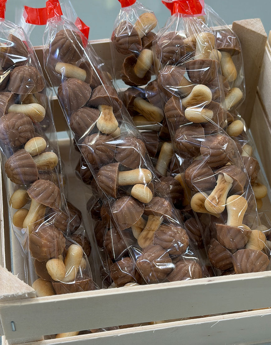 SETAS CHOCOLATE CON LECHE