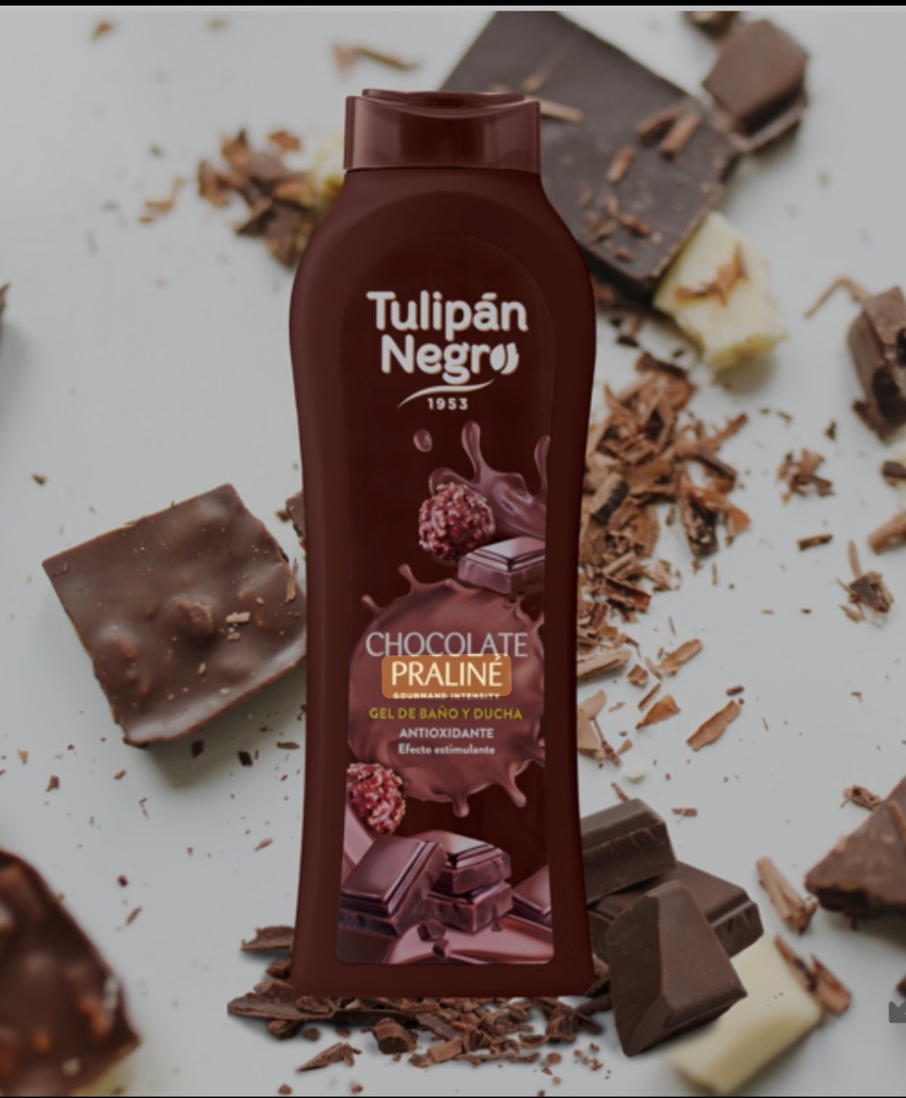 GEL CHOCOLATE PRALINE